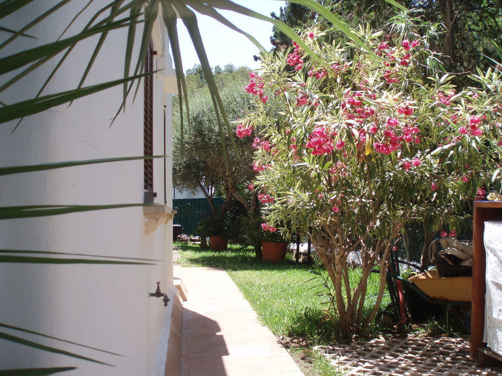 Apartamentos Osa Menor Cala d'Or  Exterior photo