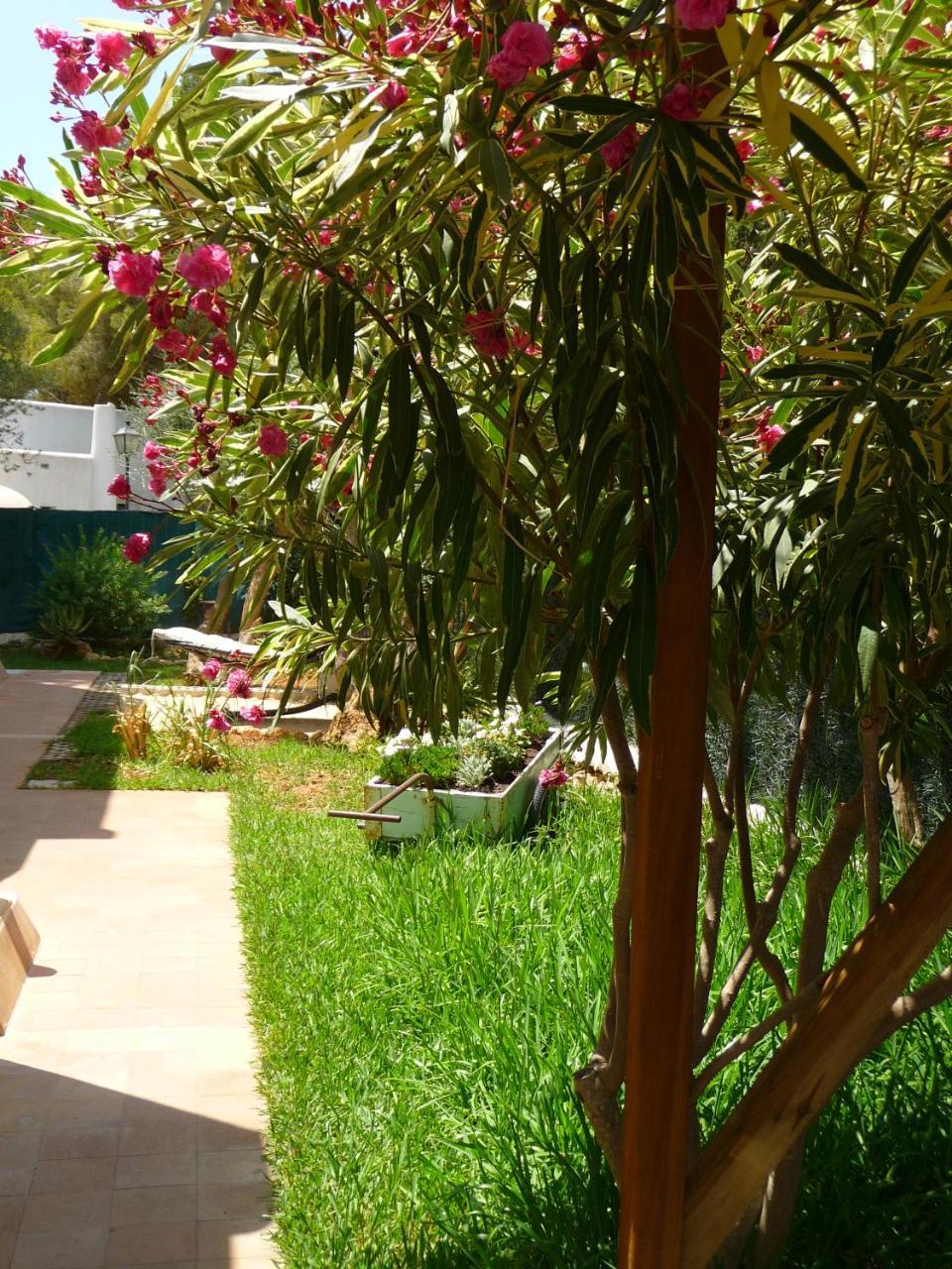 Apartamentos Osa Menor Cala d'Or  Exterior photo